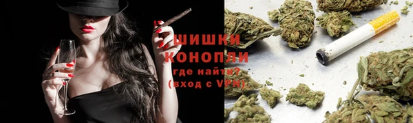 метадон Богданович
