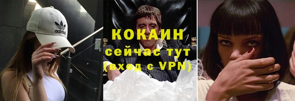 метадон Богданович