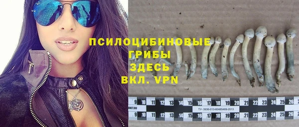 метадон Богданович