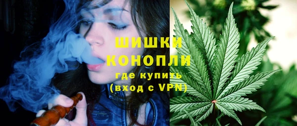 альфа пвп Гусев
