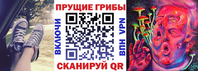 даркнет сайт  блэк спрут ТОР  Галлюциногенные грибы ЛСД  Гороховец 